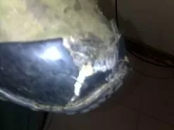 Merrell Continuum Hiking Shoe -Outdoor Clothing Shop 08092016733