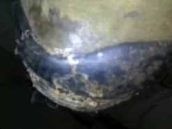 Merrell Continuum Hiking Shoe -Outdoor Clothing Shop 08092016742