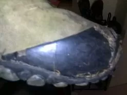 Merrell Continuum Hiking Shoe -Outdoor Clothing Shop 08092016748