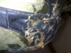 Merrell Continuum Hiking Shoe -Outdoor Clothing Shop 08092016753