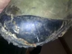 Merrell Continuum Hiking Shoe -Outdoor Clothing Shop 08092016754