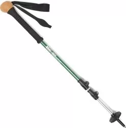 REI Hiker Shocklight Staff
