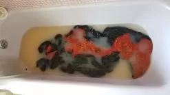 Enlightened Equipment Revelation -Outdoor Clothing Shop 20180419 092108