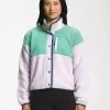 The North Face Women's Cragmont Fleece Jacket -Outdoor Clothing Shop 32627 WASABI LAVENDER FOG l