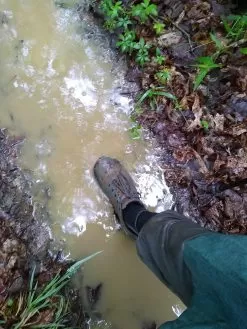 Merrell Altalight Waterproof -Outdoor Clothing Shop IMG 20200527 090810793