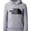 THE NORTH FACE Older Boys Drew Peak Overhead Hoodie - Light Grey
