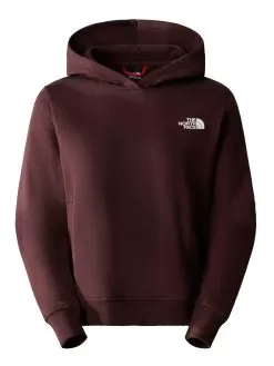 THE NORTH FACE Women's Nuptse Face Hoodie - Brown
