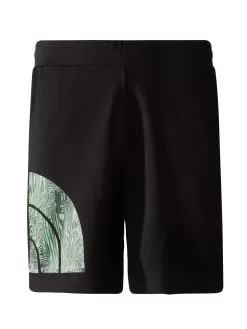 THE NORTH FACE Men's Graphic Logo Shorts - Black