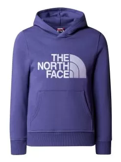 THE NORTH FACE Boys Drew Peak Overhead Hoodie - Blue